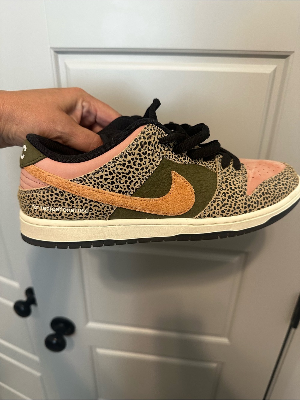 Nike SB Dunk Low
Arts-Rec